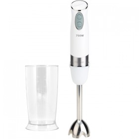 Mixeur Plongeur blanc