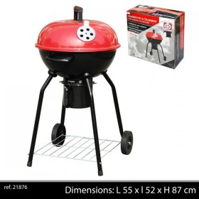 Barbecue à charbon
