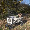 Chariot de transport pliable